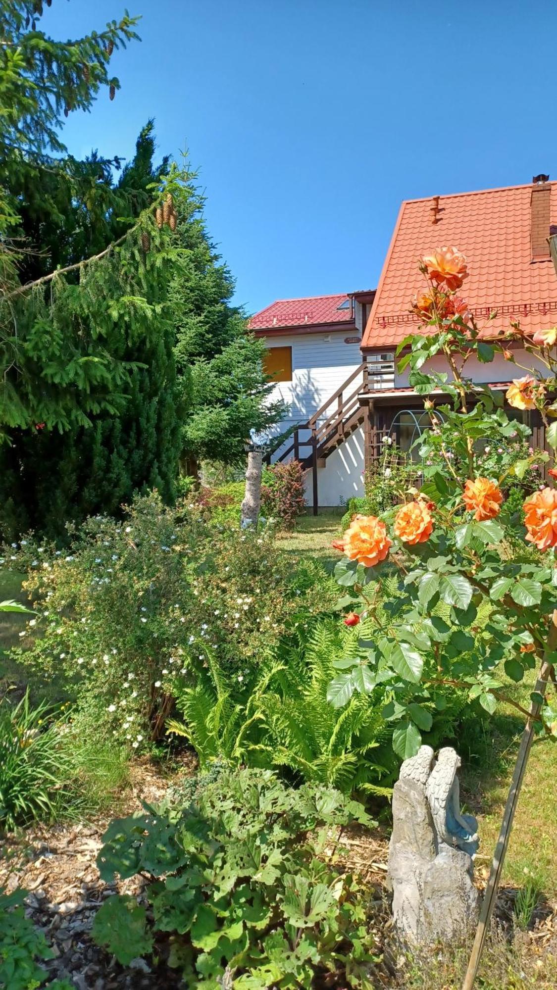 Siedlisko Wiejskie Kierzkowo (Wejherowo) Bagian luar foto